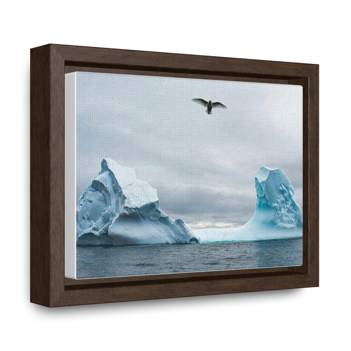 Antarctic Flight - Canvas with Frame