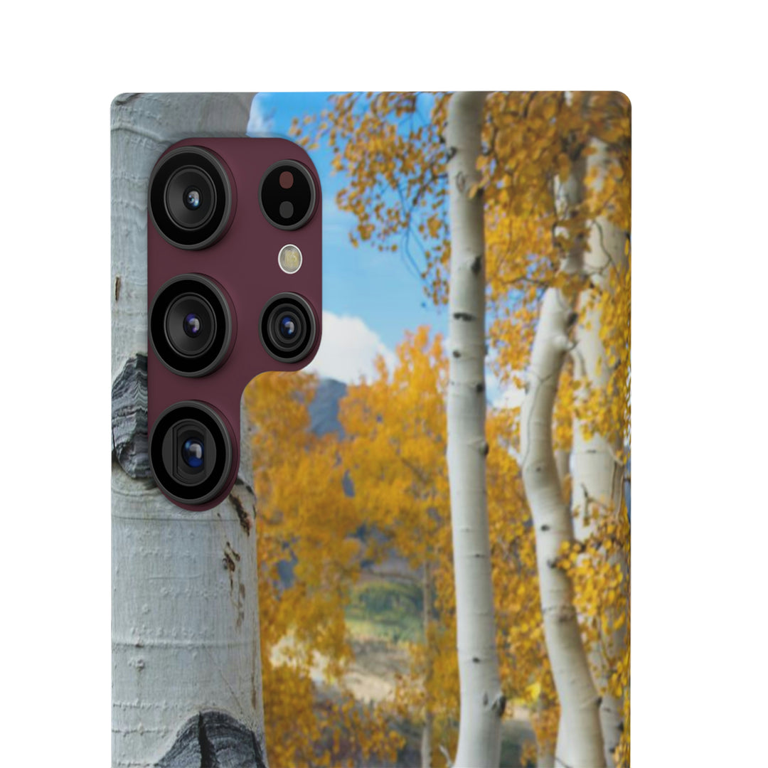 Aspens Changing - Phone Case