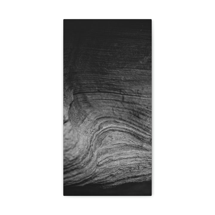 Sedimentary Rock Curves in Black and White - Canvas