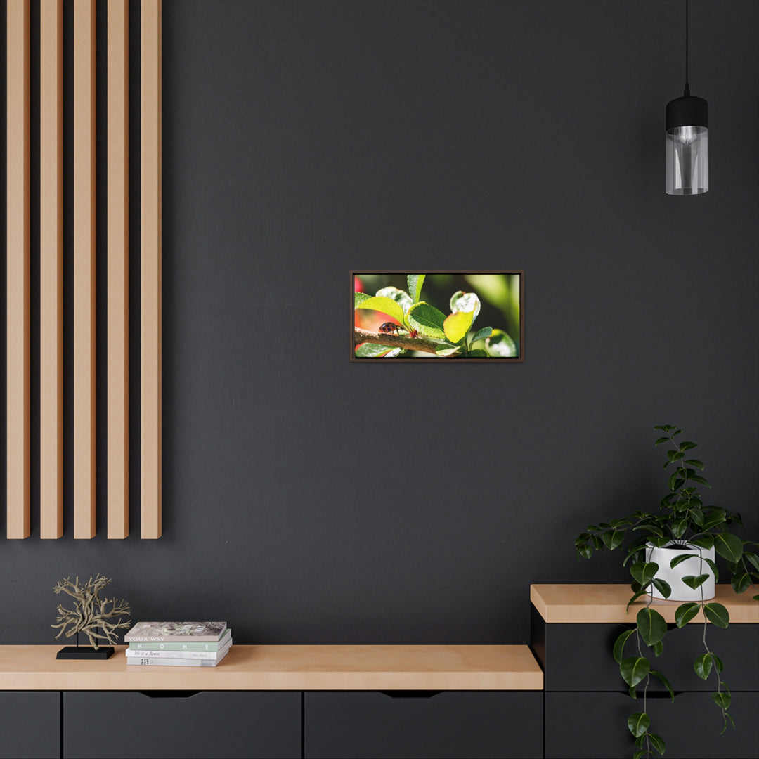 Spotted Investigation - Canvas with Frame