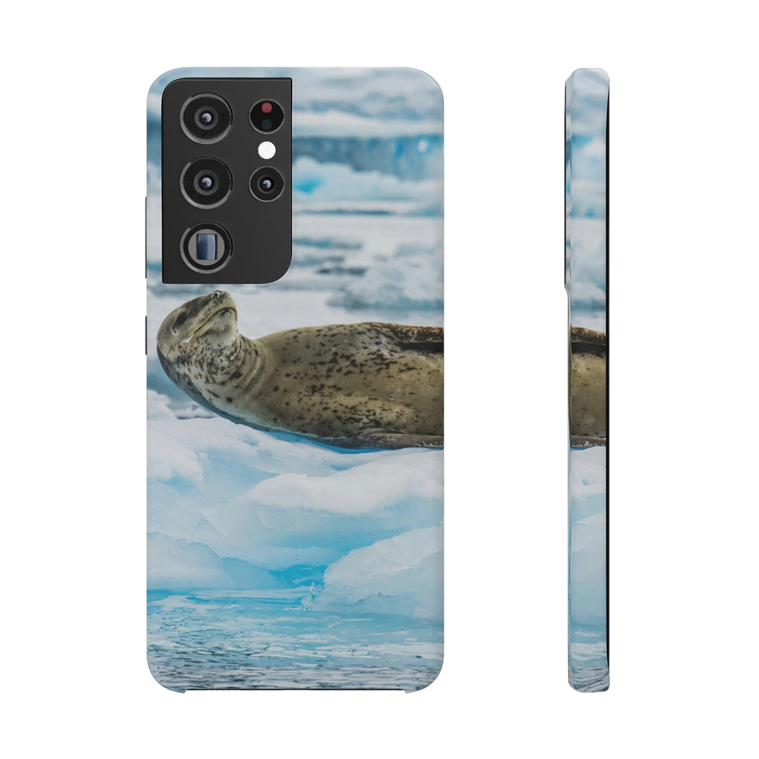 Leopard Seal Relaxing - Phone Case