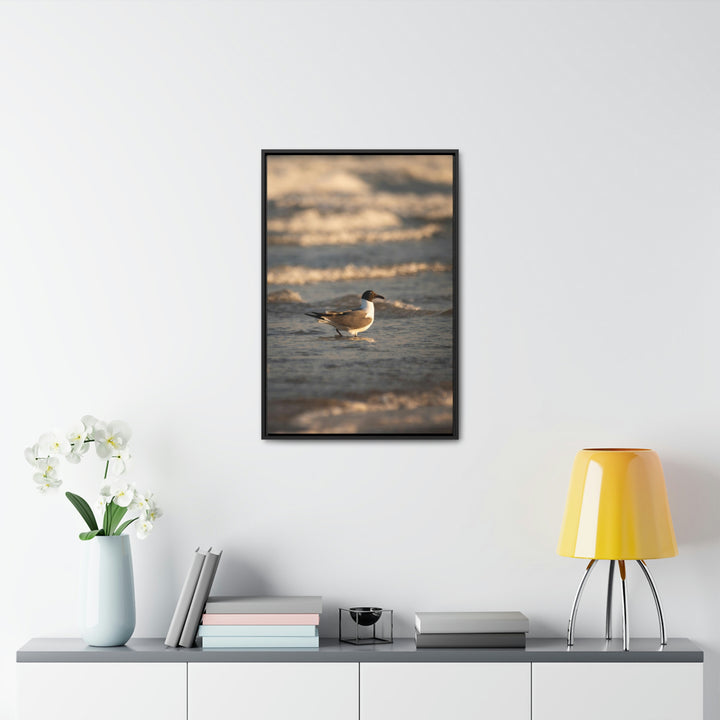 Laughing Gull in the Surf - Canvas with Frame