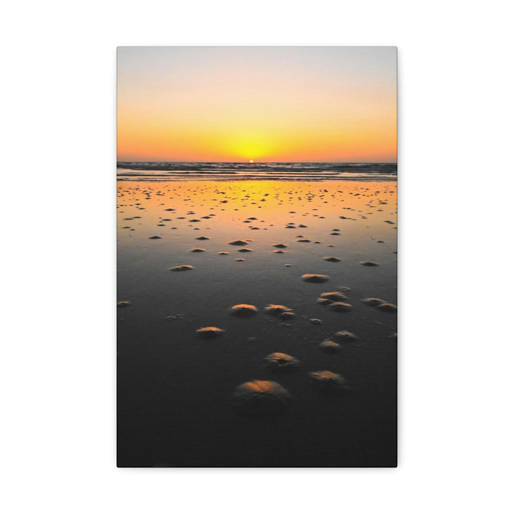 Burrows at Sunrise - Canvas