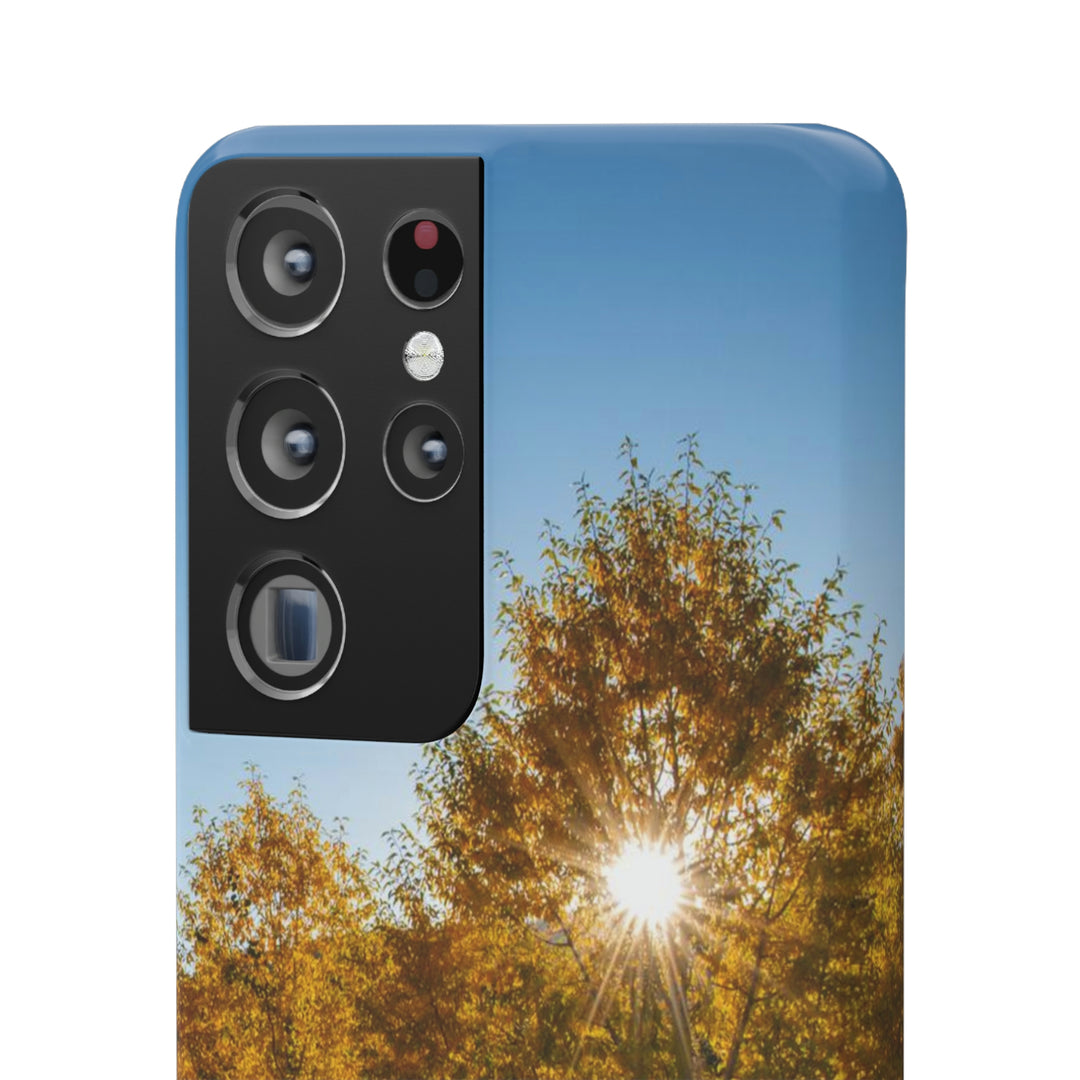 Sun Through the Aspens - Phone Case