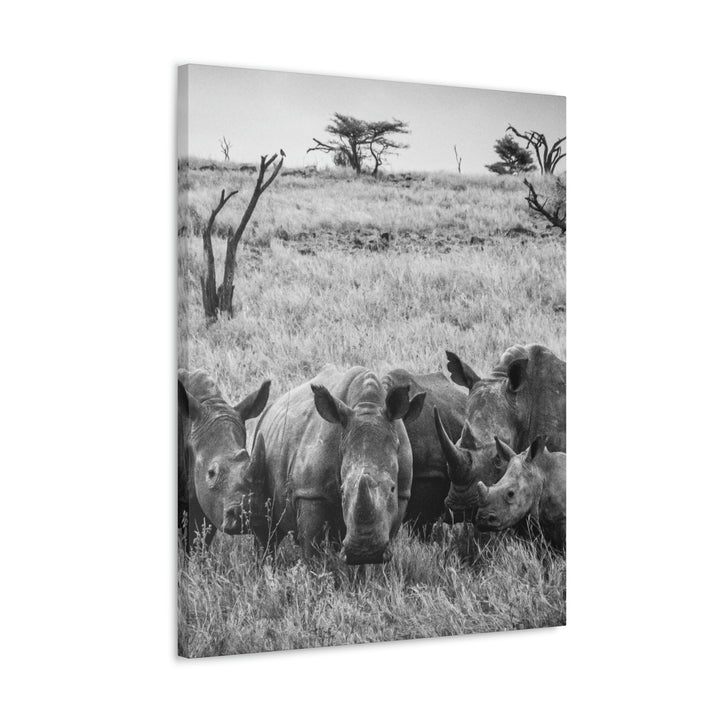 Rhino Family in Black and White - Canvas