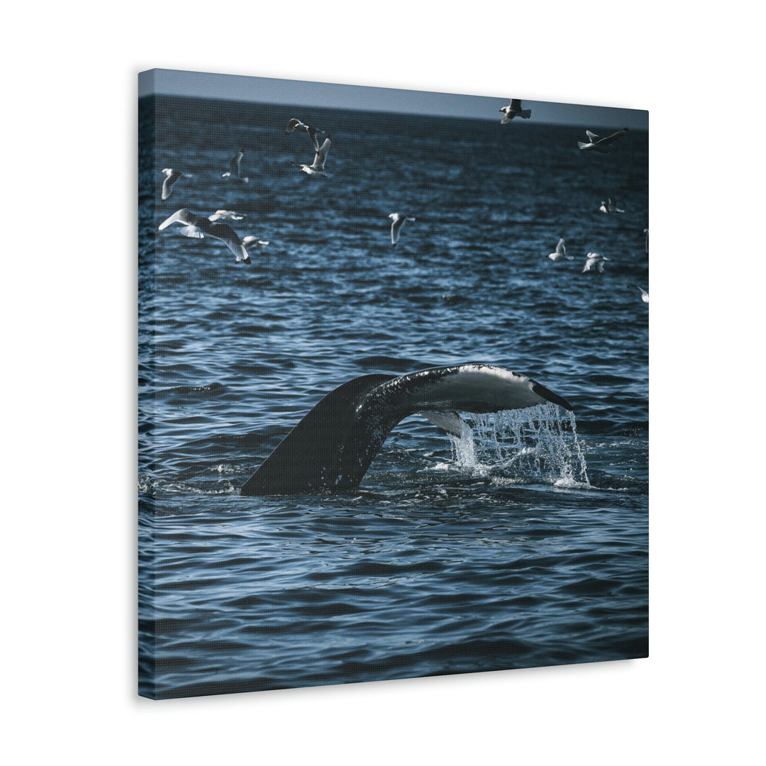 Feeding Tail - Canvas