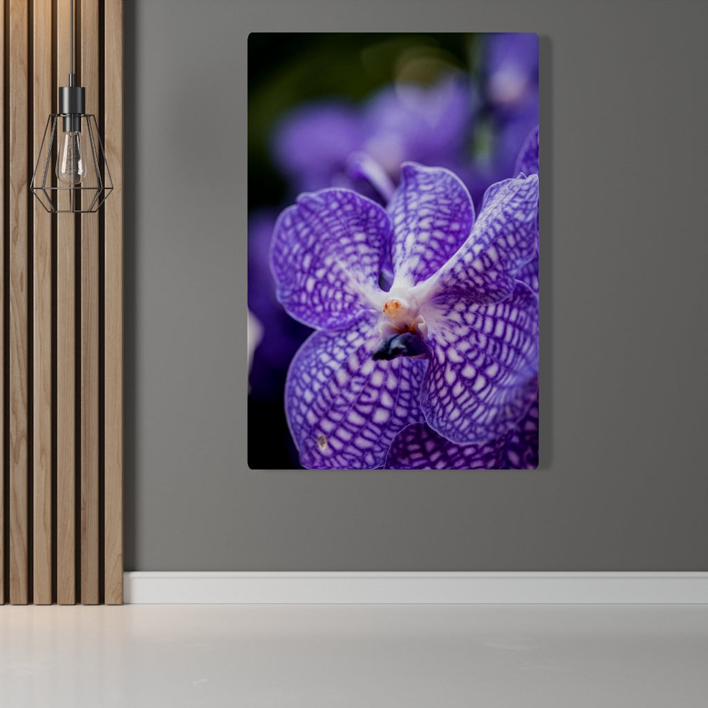 Orchid Detail - Canvas