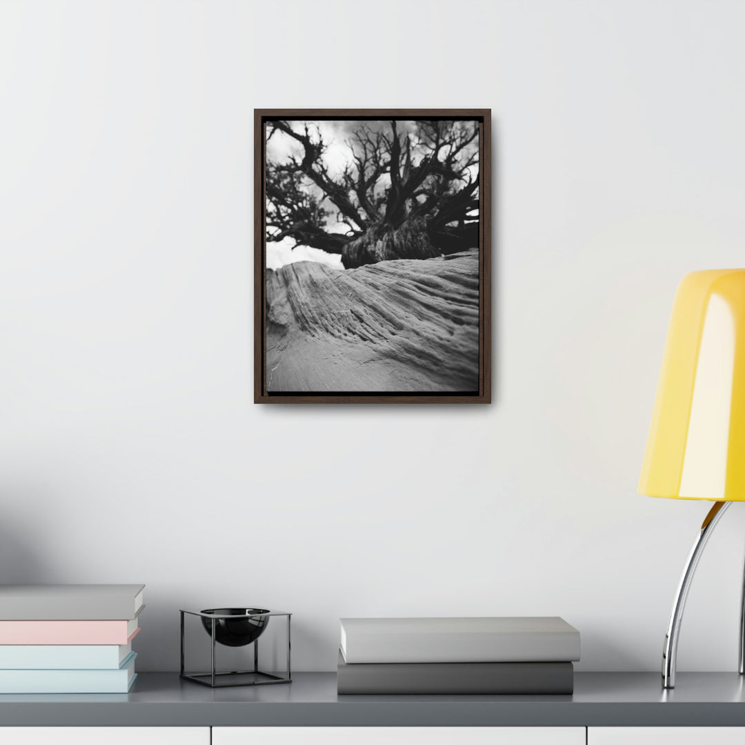 Desert Reach in Black and White - Canvas with Frame