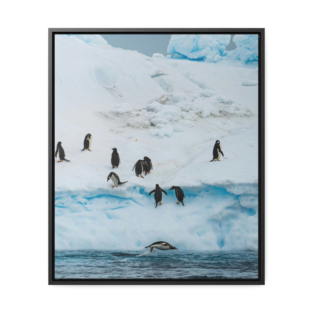 Porpoising Penguin - Canvas with Frame