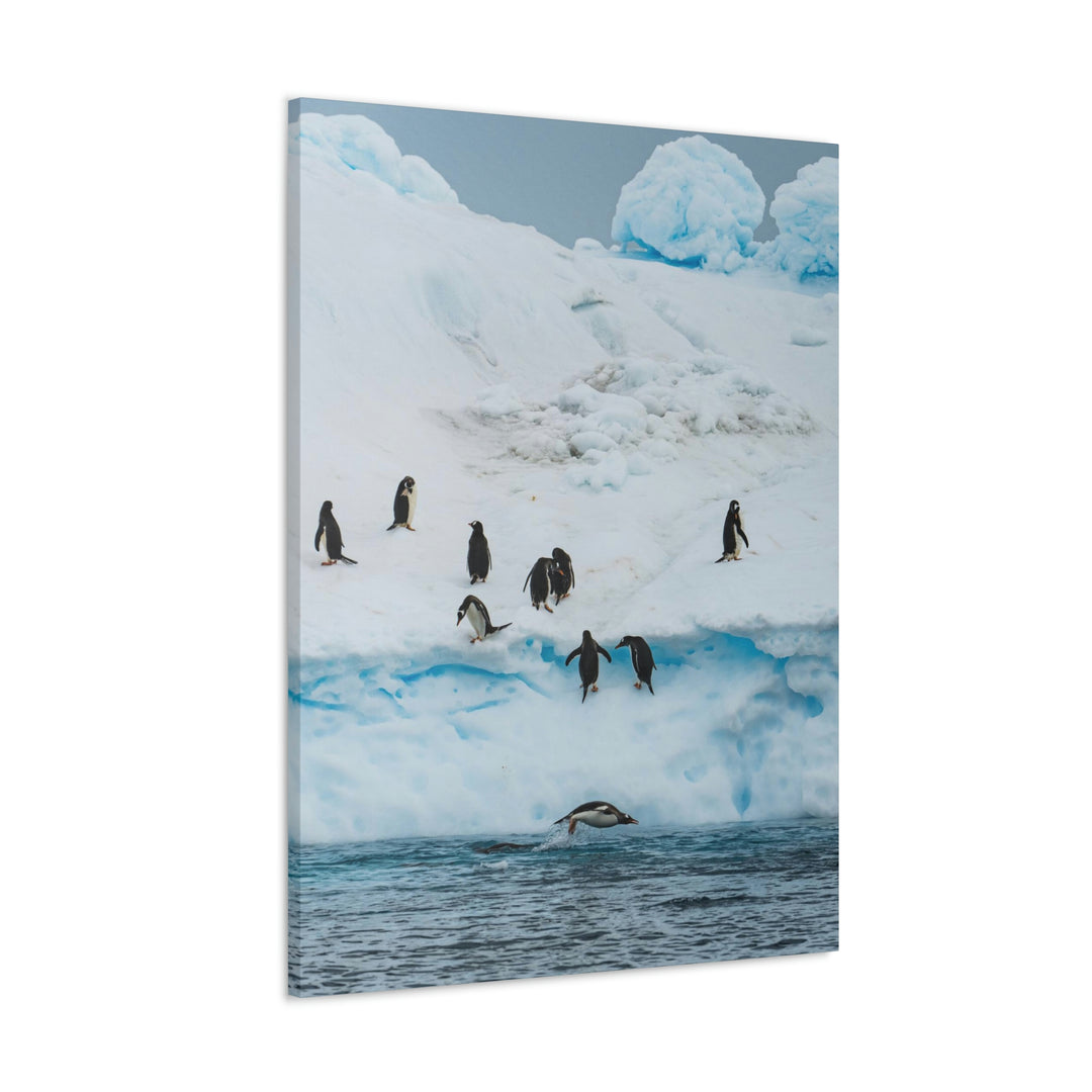 Porpoising Penguin - Canvas