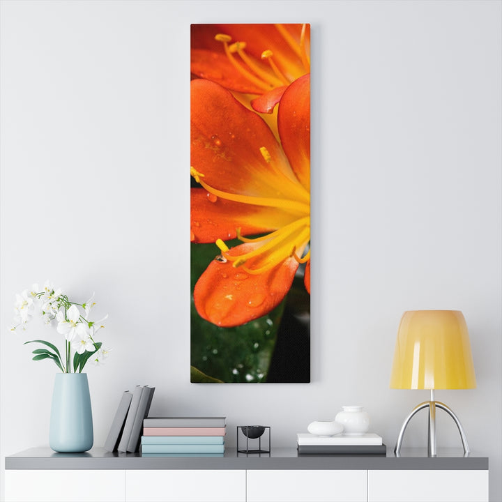 Bright Bush Lily - Canvas