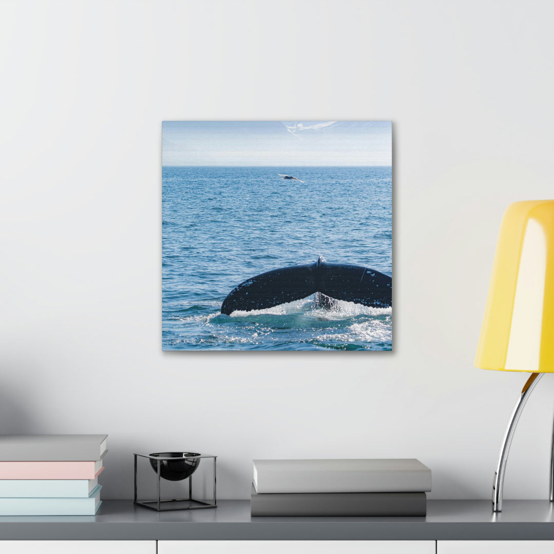 A Whale and A Mountain - Canvas