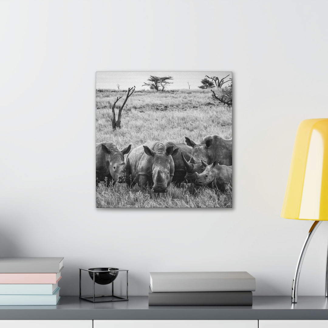 Rhino Family in Black and White - Canvas