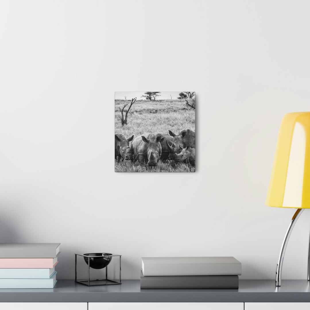 Rhino Family in Black and White - Canvas