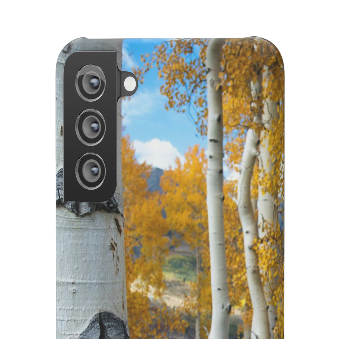 Aspens Changing - Phone Case