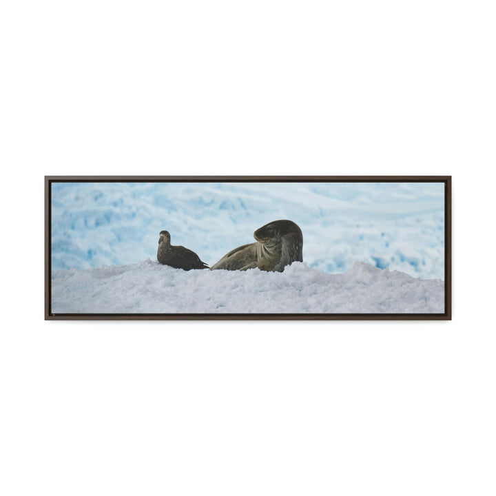 A Resting Pair - Canvas with Frame