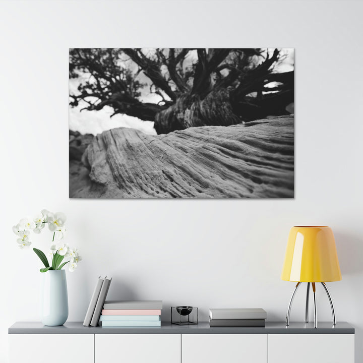 Desert Reach in Black and White - Canvas