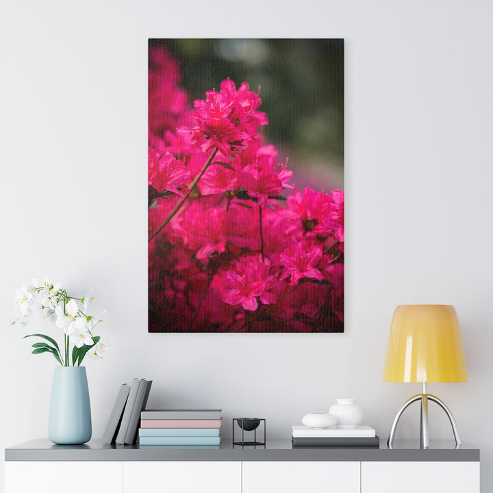 Full Bloom - Canvas