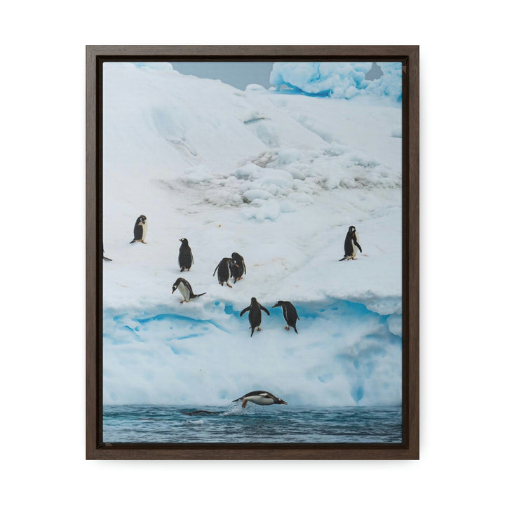 Porpoising Penguin - Canvas with Frame