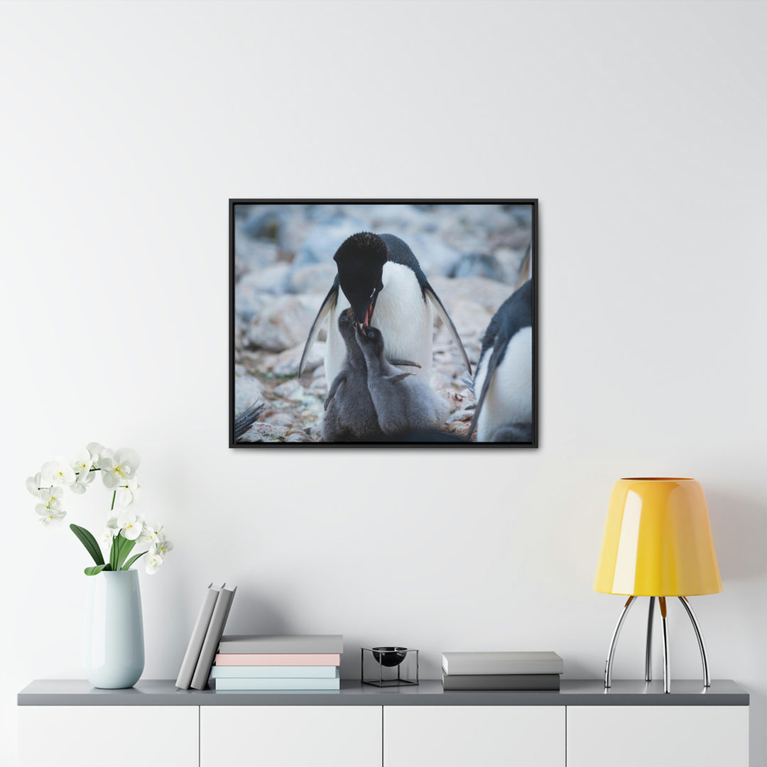 Feeding Time - Canvas with Frame