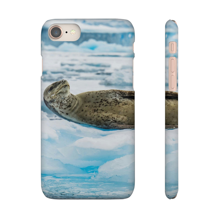 Leopard Seal Relaxing - Phone Case