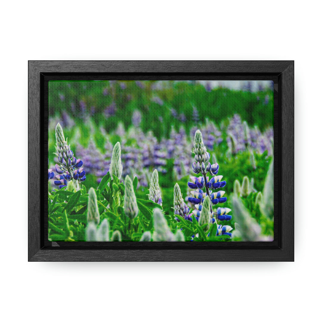 Glowing Lupin with Mountains - Canvas with Frame