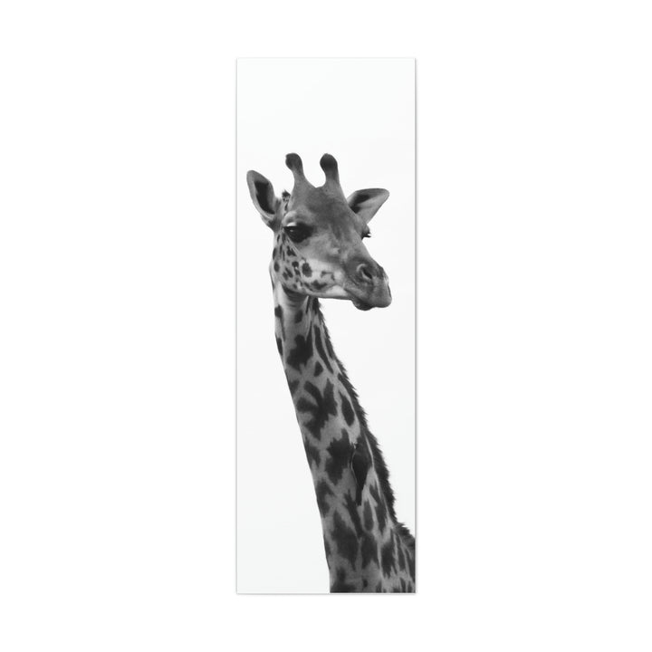 Giraffe Portrait in Black and White  - Canvas