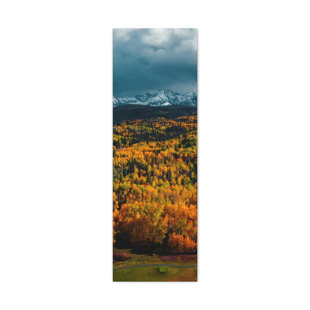 Golds of Autumn - Canvas