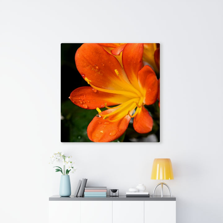 Bright Bush Lily - Canvas