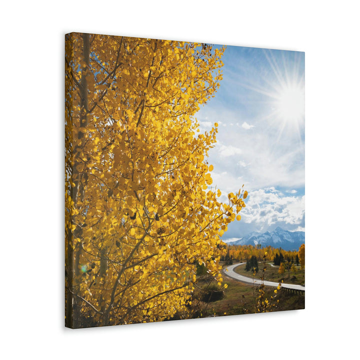 Golden Sunshine - Canvas