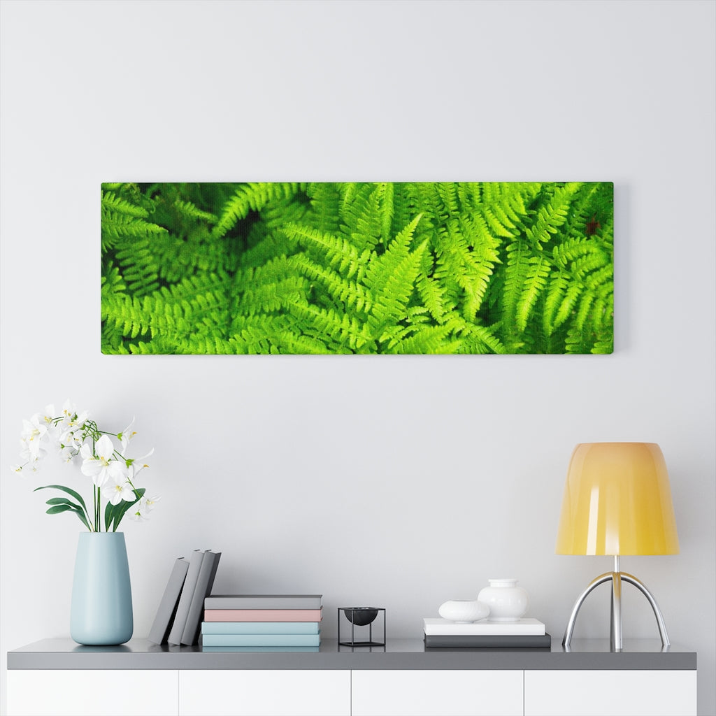 Ferns, Ferns, Ferns - Canvas