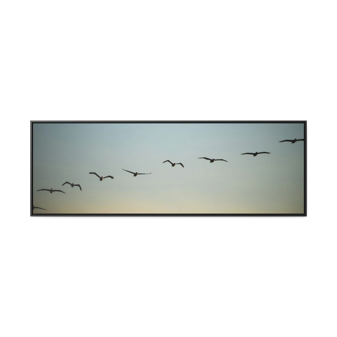 Brown Pelicans in Flight - Canvas with Frame