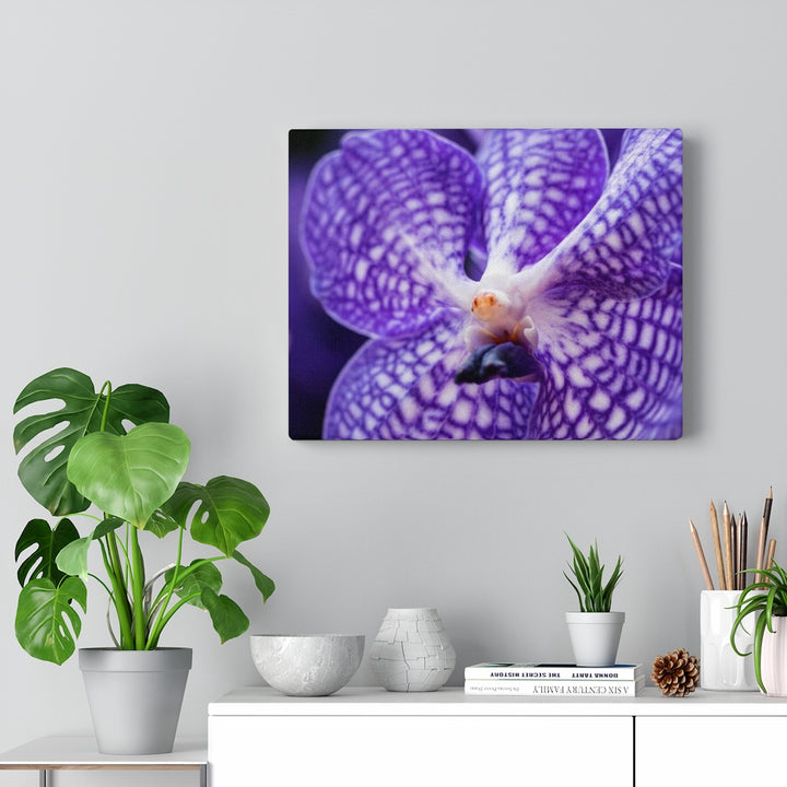 Orchid Detail - Canvas