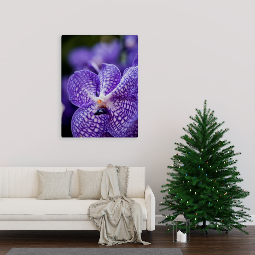 Orchid Detail - Canvas