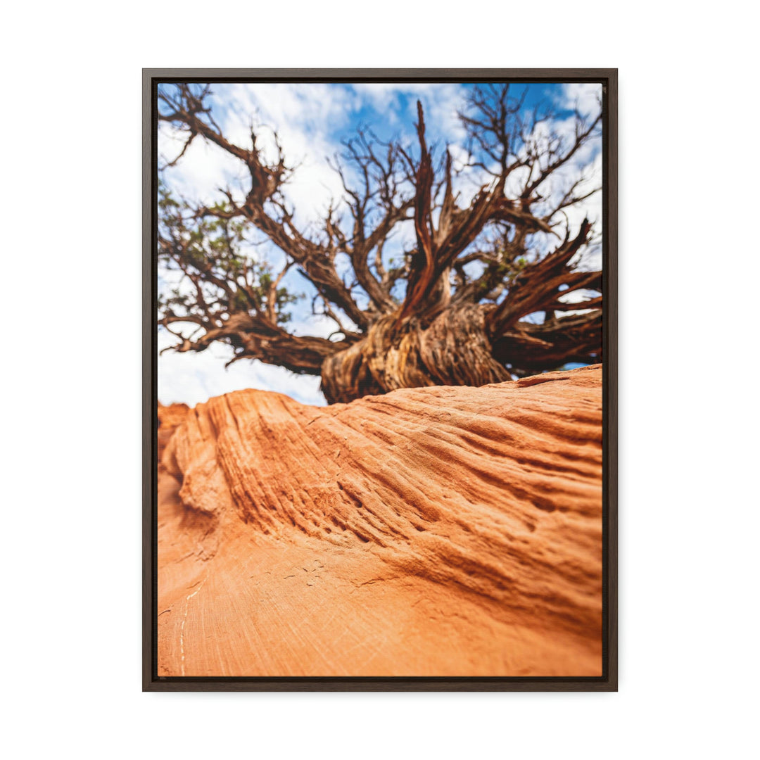 Desert Reach - Canvas with Frame