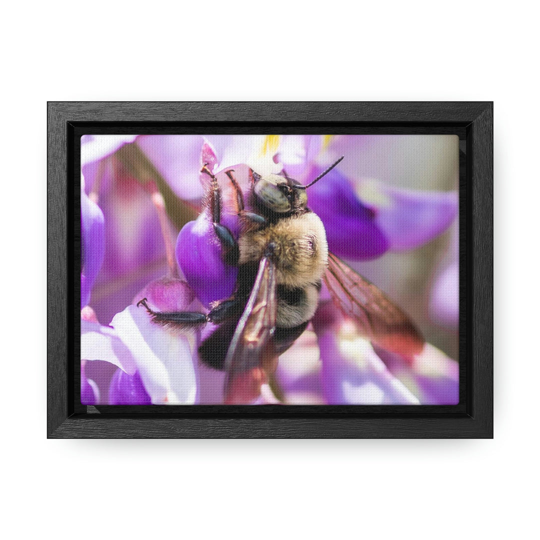 Hungry Visitor - Canvas with Frame