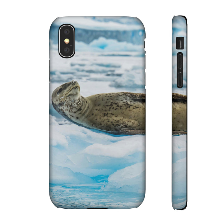 Leopard Seal Relaxing - Phone Case