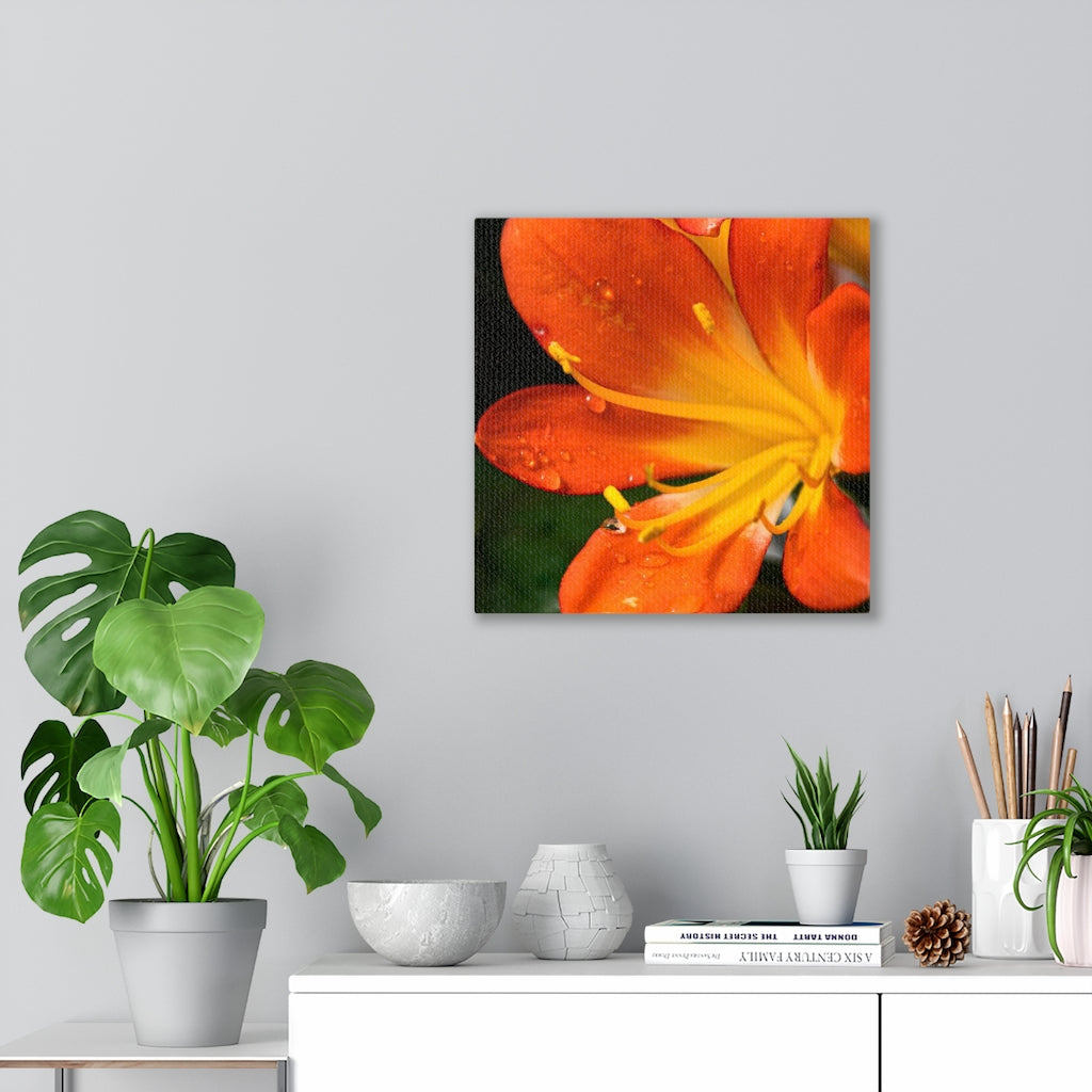 Bright Bush Lily - Canvas