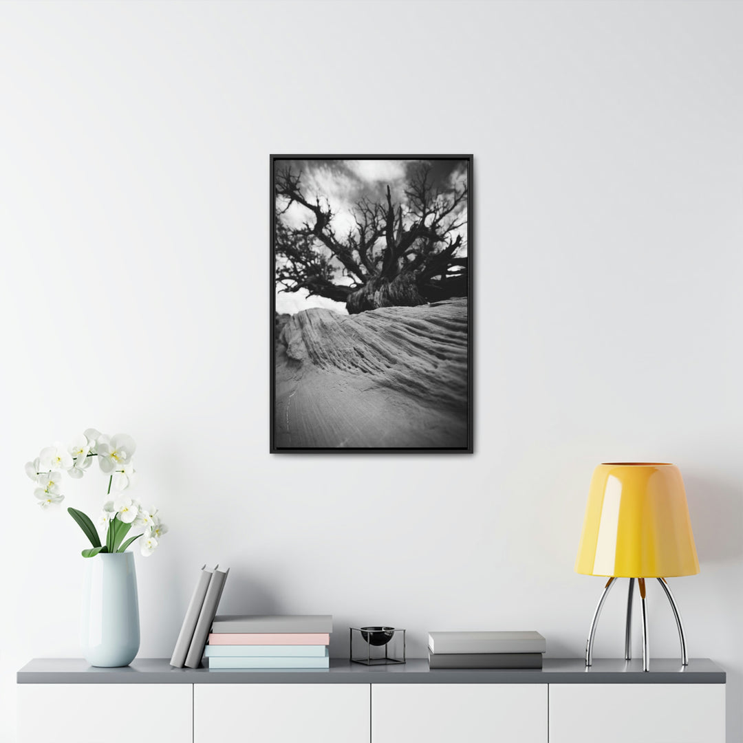 Desert Reach in Black and White - Canvas with Frame