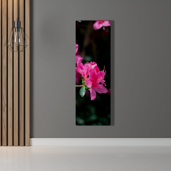 Standout Azalea - Canvas