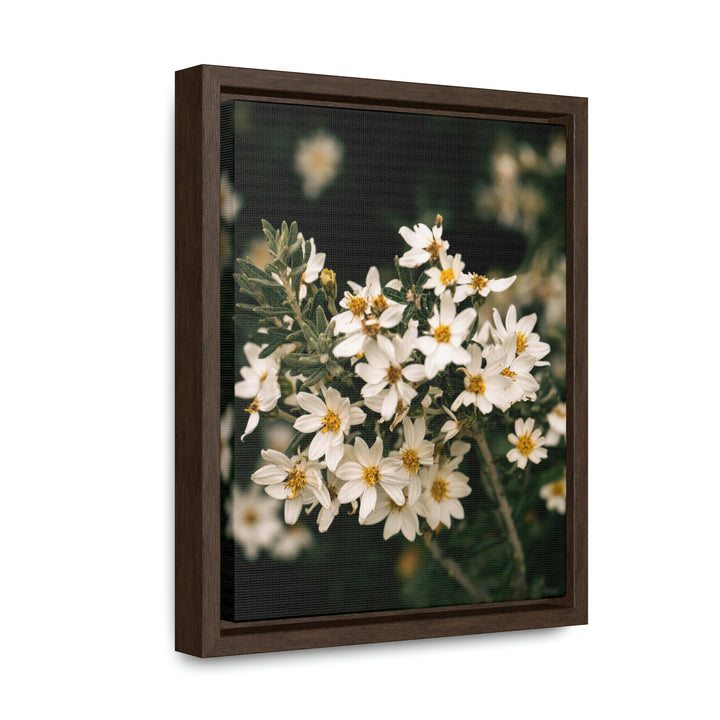 A Touch of White - Canvas with Frame