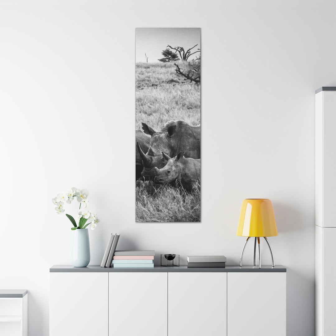 Rhino Family in Black and White - Canvas