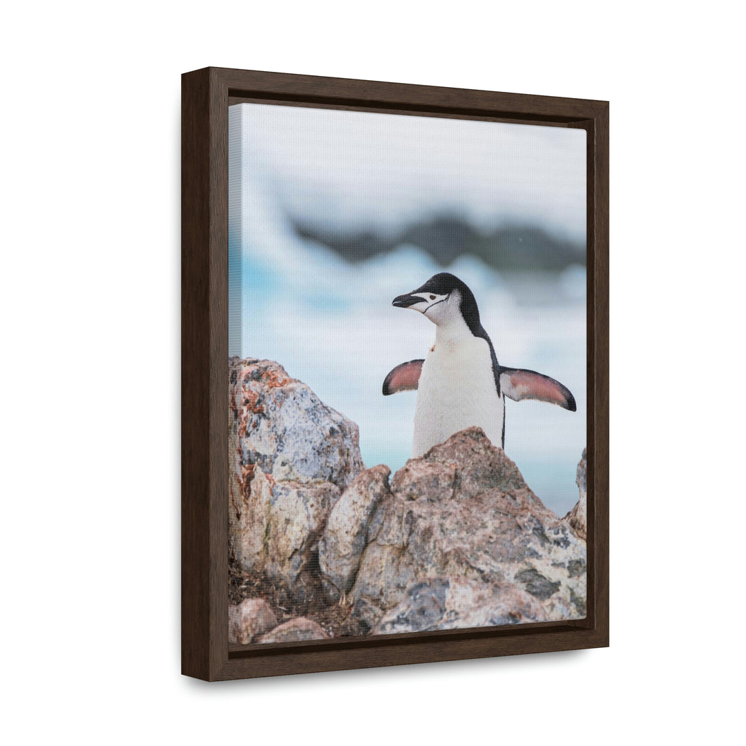 Stretched Penguin - Canvas with Frame