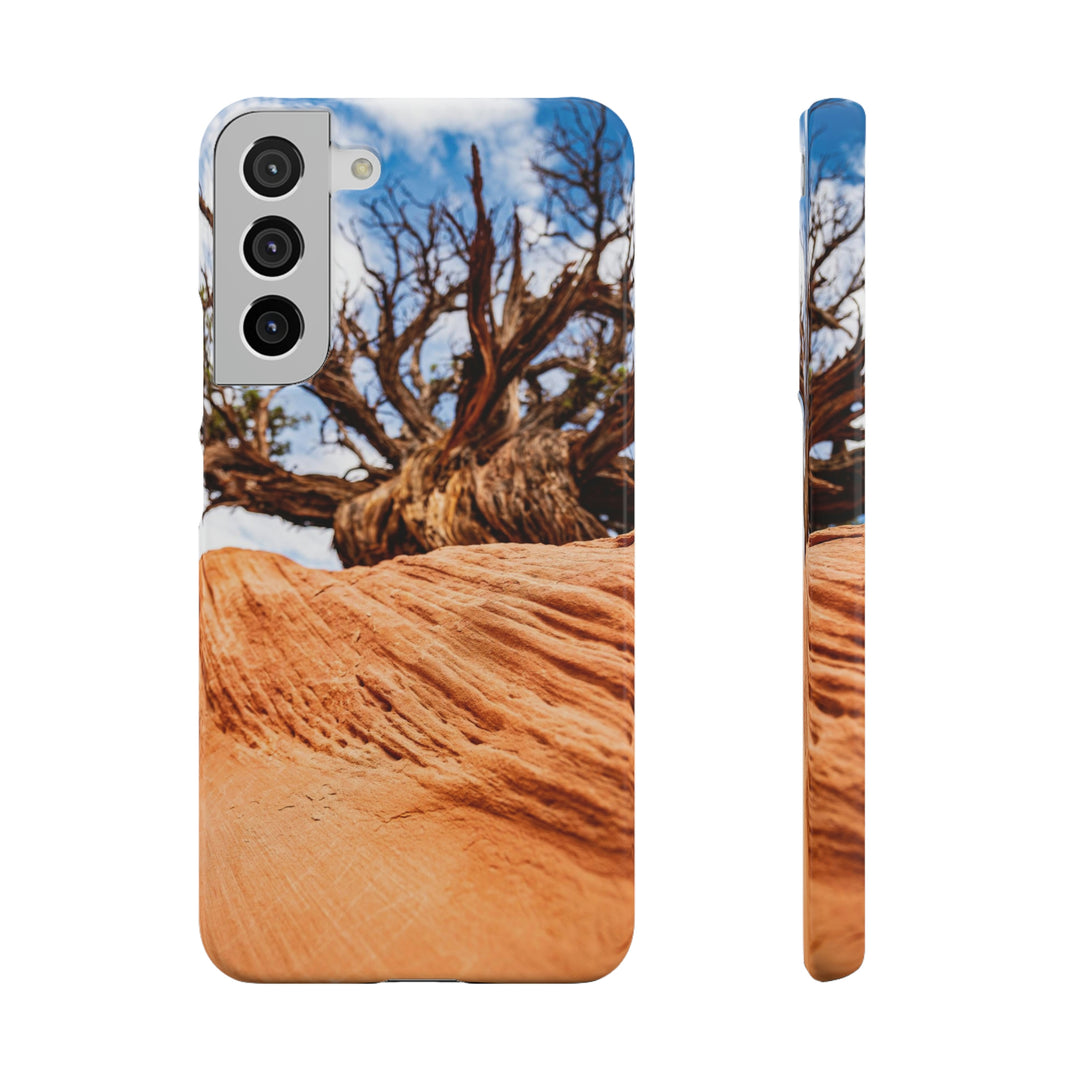 Desert Reach - Phone Case