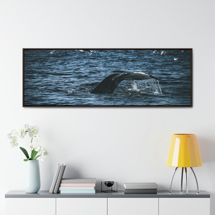 Feeding Tail - Canvas with Frame