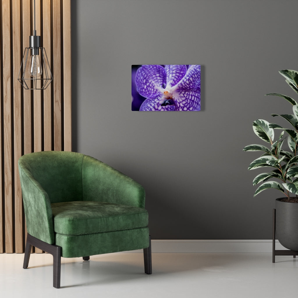 Orchid Detail - Canvas