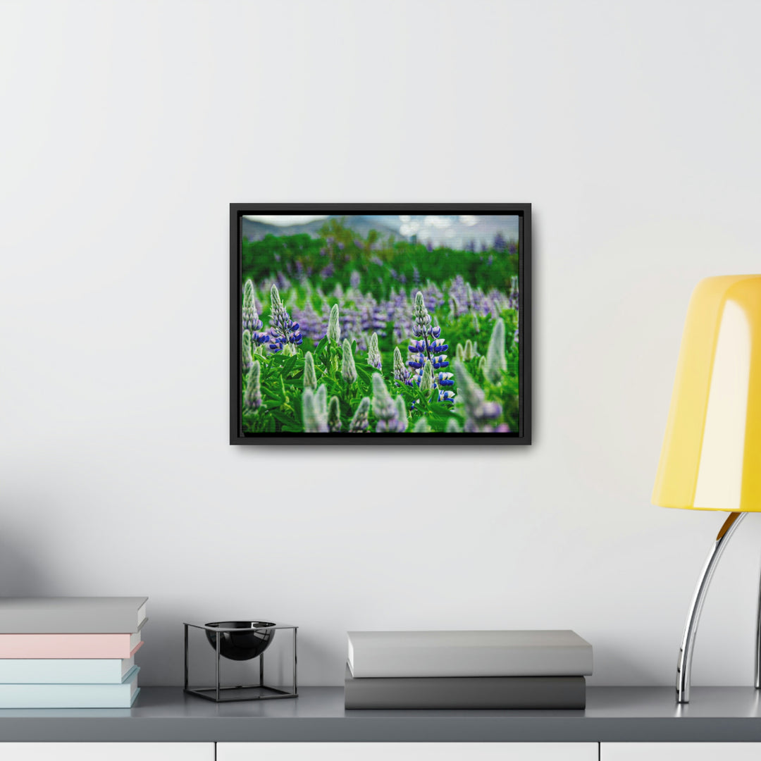 Glowing Lupin with Mountains - Canvas with Frame