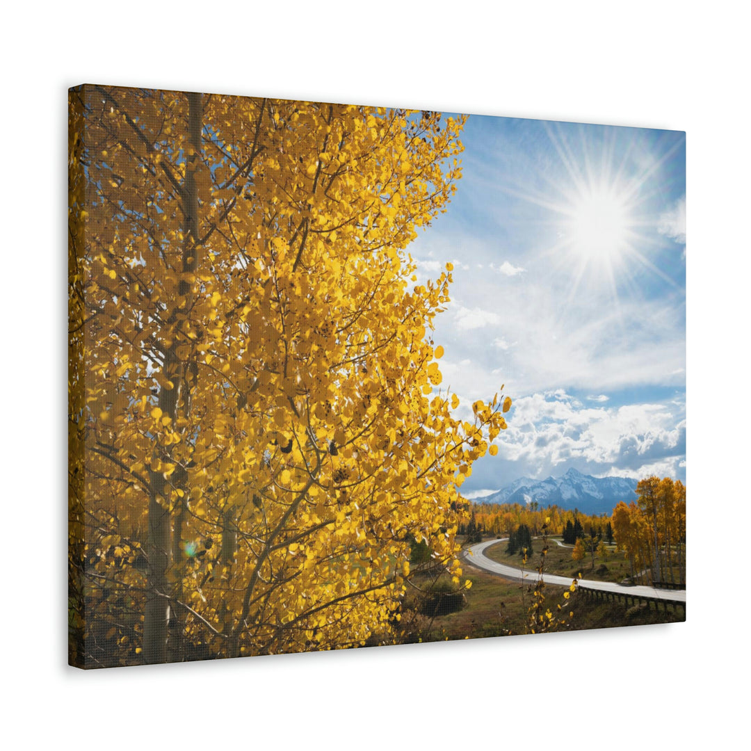 Golden Sunshine - Canvas