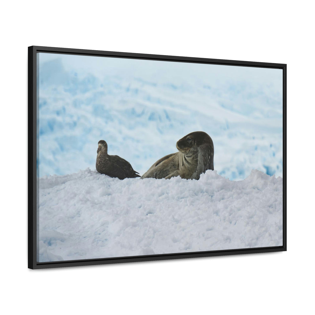 A Resting Pair - Canvas with Frame