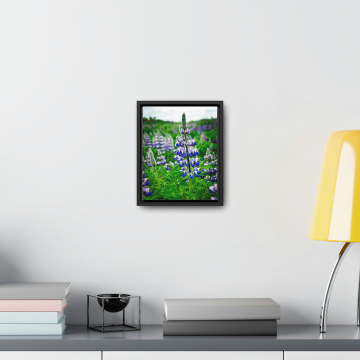 Glowing Lupin - Canvas with Frame